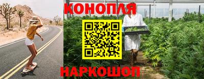 spice Кингисепп