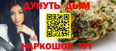 spice Кингисепп
