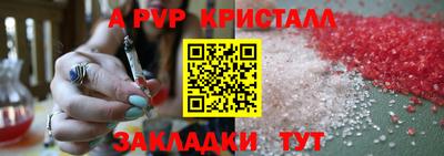 spice Кингисепп