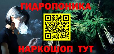 spice Кингисепп